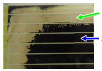 ペロブスカイト太陽電池の写真