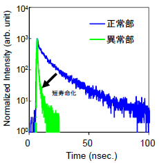 ペロブスカイト太陽電池の発光減衰曲線