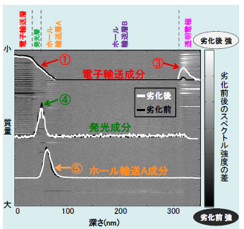MSDMとデプスプロファイルの重ね合わせ