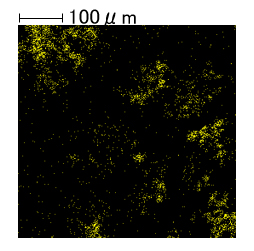 パルミチン酸Na