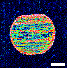 SUS-エタノール拭き後