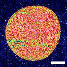 ガラス-エタノール拭き後