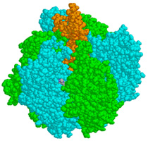 ��1 ʬ��1�ĤǤǤ�����ž�⡼������γ���˸�����Τϸ��ҡ�