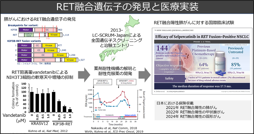 ¿Þ1 ¥ª¡¼¥¥·¥ó±þÅú¤È¥ª¡¼¥¥·¥ó¥Ç¥°¥í¥óË¡¤Î¸¶Íý