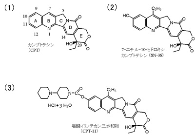 �ޣ�������ץȥƥ��󤫤��������Υƥ���ؤβ����Ѵ�