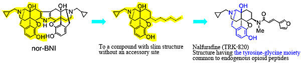 Fig. 3 Accessory site theory and design and synthesis of ¦Ê agonist nalfurafine