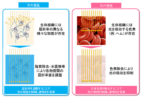  �ޣ� �ȿ�Ʃ�����θ���