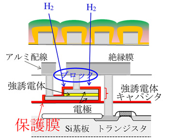 ��2��FeRAM�����̿ޡ��ݸ���ˤ�äơ���������ο��Ǥ�֥��å����롣