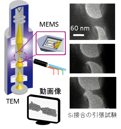 ��3��MEMS��Ʃ���ŻҸ��������ư�������ʥ�ʪ�Τ��Ѳ����¬����