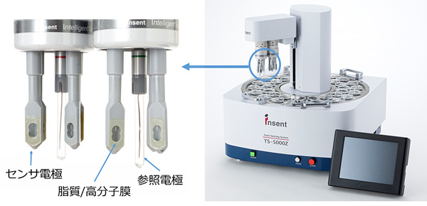 ���߻��Τ���Ƥ���̣�Х��󥵤��Ŷˡ�̣ǧ������TS-5000Z�����󥻥������