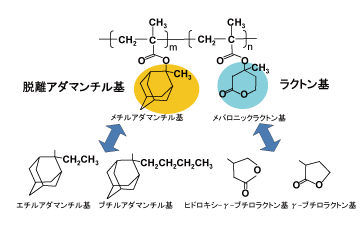 ��2������ArF�쥸���Ⱥ����Υ��󥻥ץ�