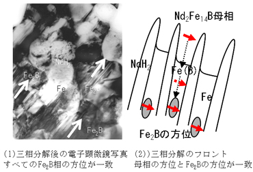 図2 Texture Memory Effect